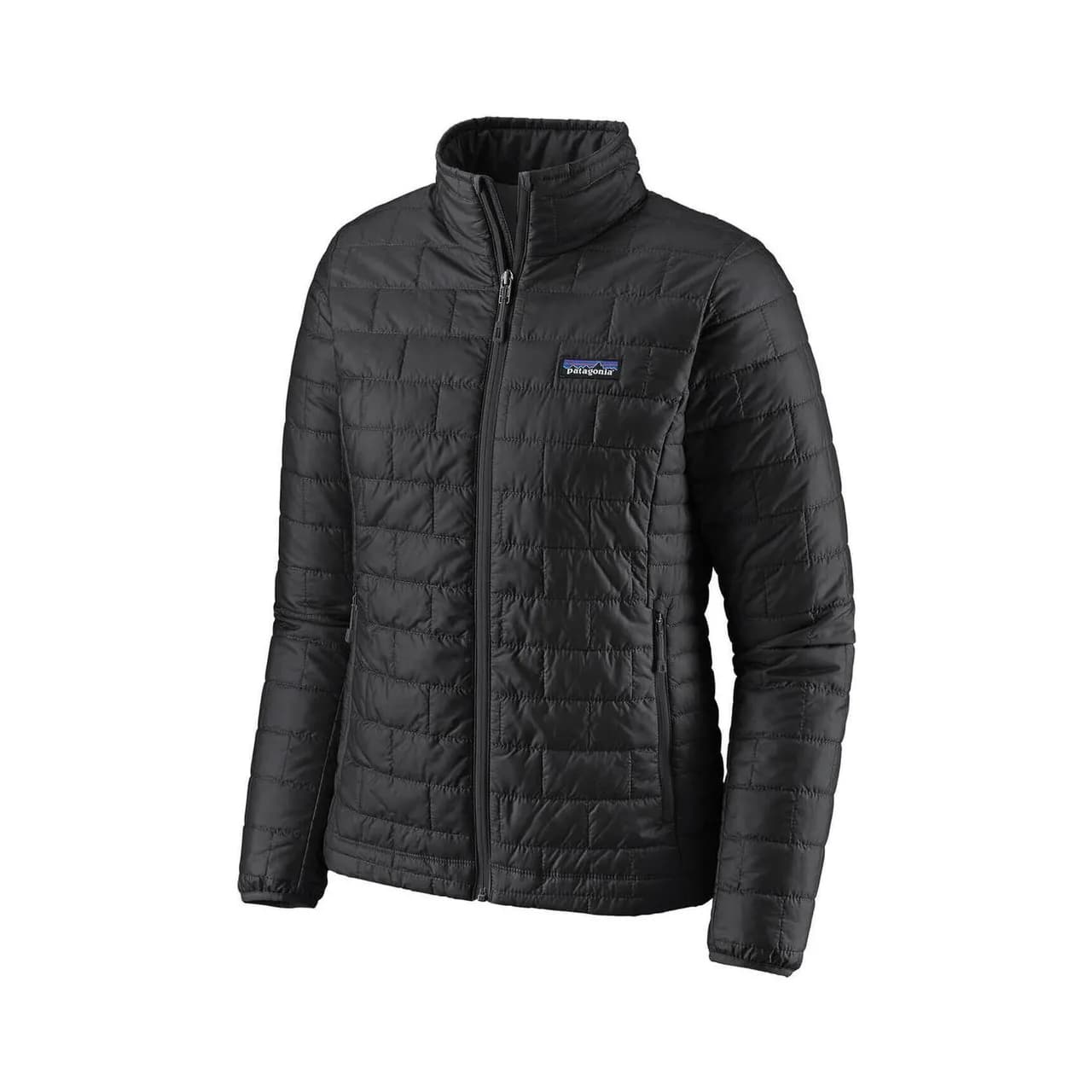Patagonia Women's Black Nano Puff Jacket
