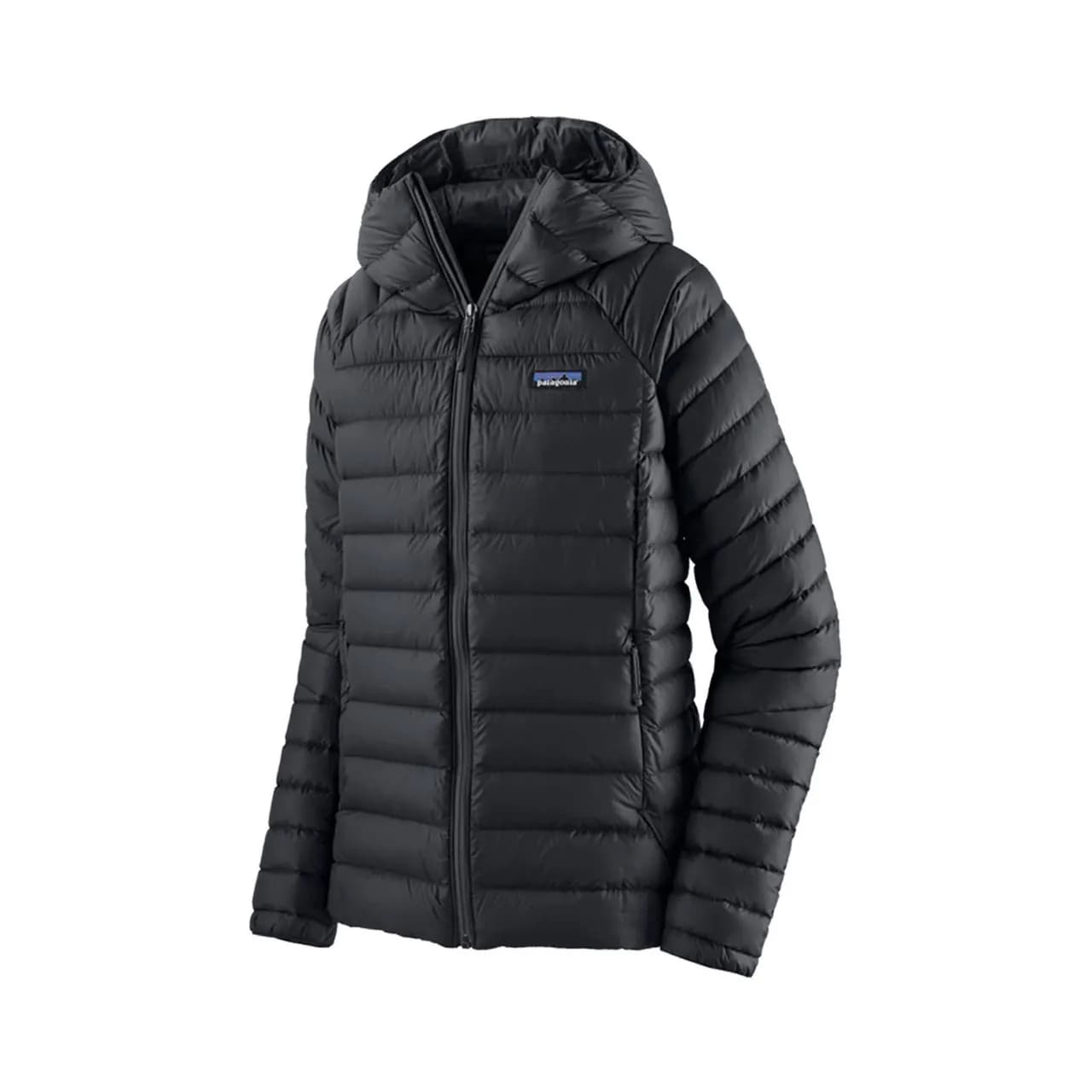 Patagonia Women's Black Down Sweater Hoodie